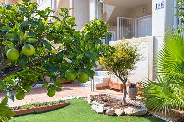 Bungalow, Los Altos, Torrevieja