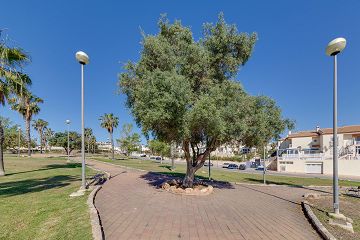 Bungalow, Los Altos, Torrevieja